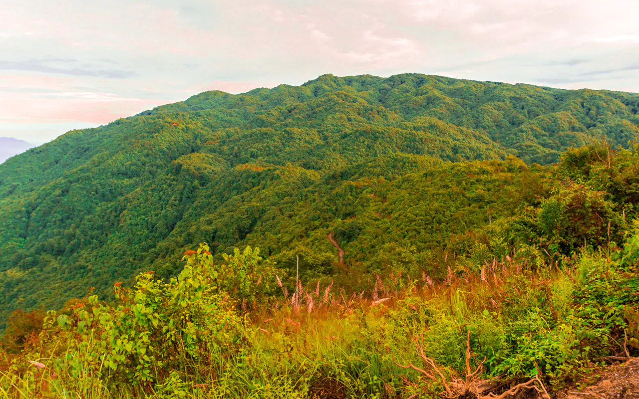 Shivapuri Peak Hike