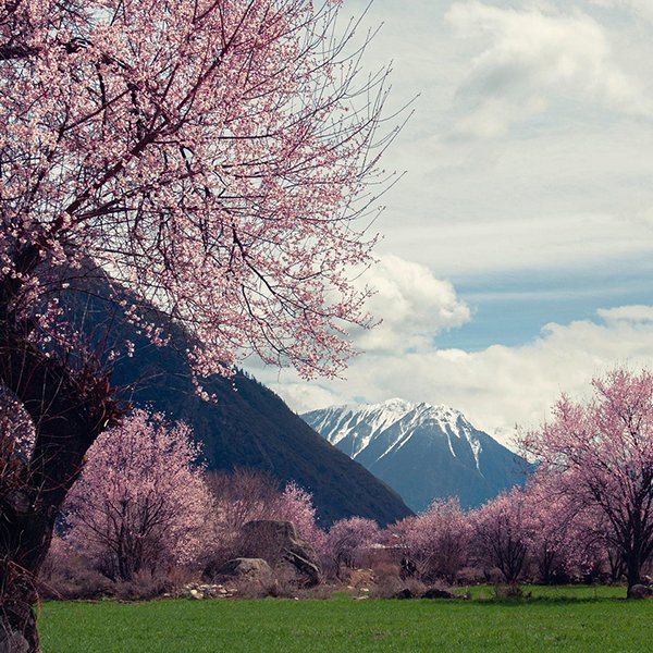 tibet travel guide