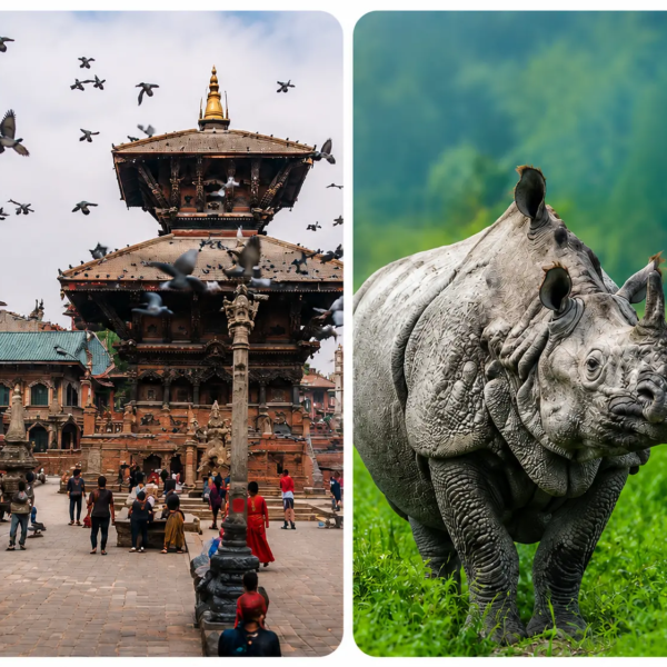 Complete Cultural And Wildlife Tour in Kathmandu & Chitwan